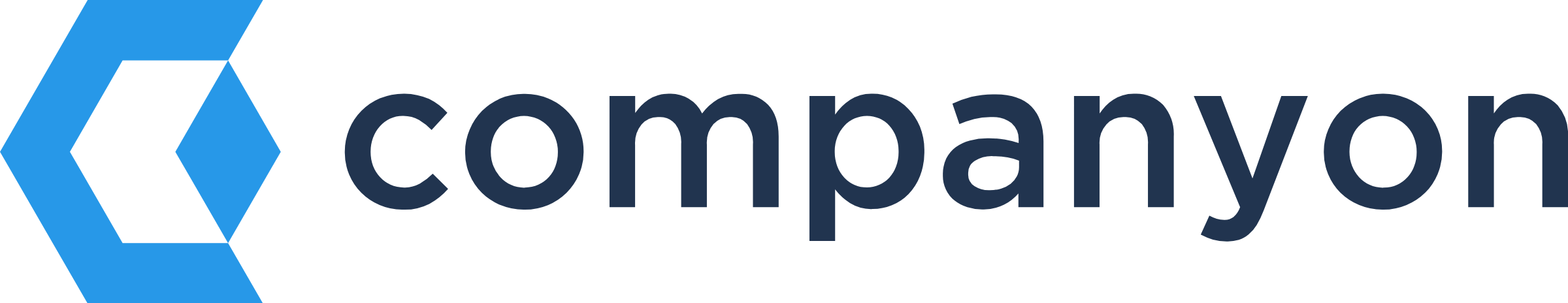 Companyon Controlling Software